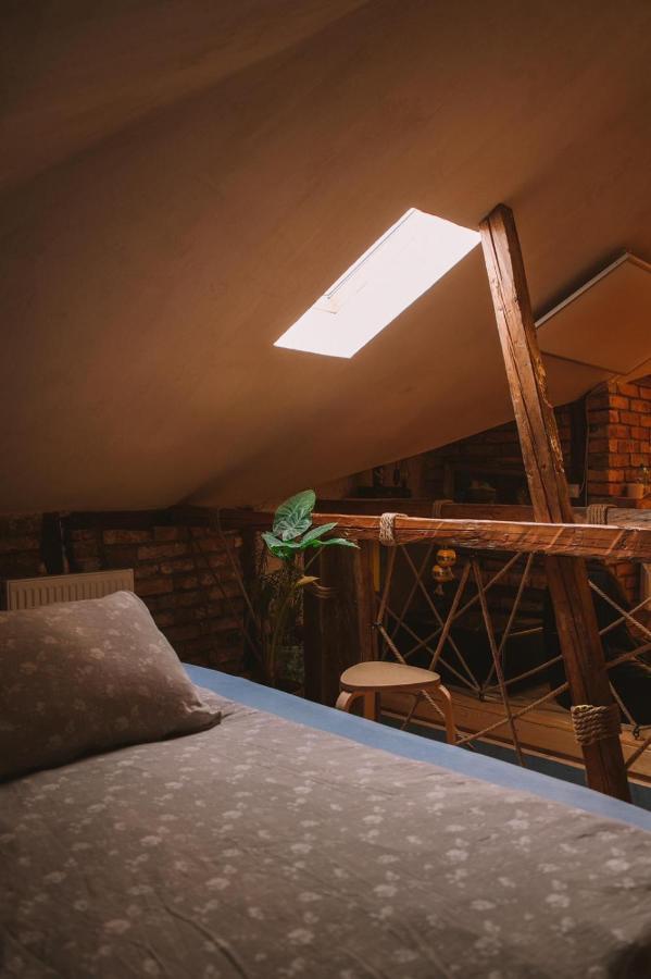 The House A La Cluj Villa Екстериор снимка